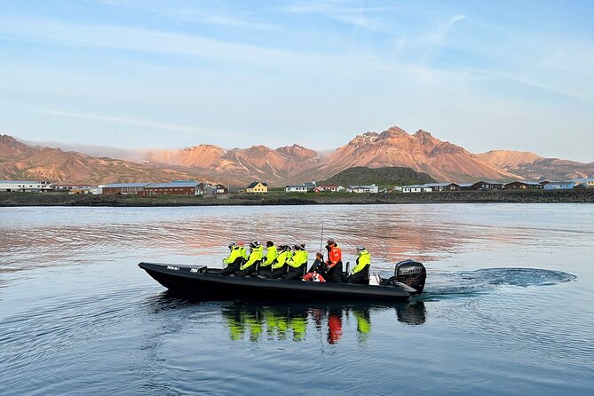 1 Hour Iceland Nature and Wildlife RIB Small Group Guided Safari - Seals, Waterfalls, and the Harbor Side View