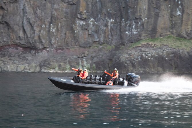 1 Hour Iceland Nature and Wildlife RIB Small Group Guided Safari - The Guides: Friendly Energy, Real Local Insight