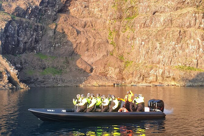 1 Hour Iceland Nature and Wildlife RIB Small Group Guided Safari - The 12:00 pm Ride From Hafnarhólmi in Bakkagerði