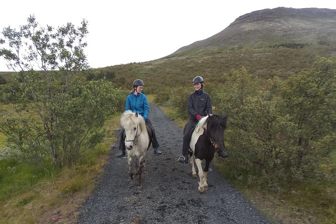 1+ hour Private Horse riding tour from Reykjavík/Mosfellsbær - Key things to know before you go