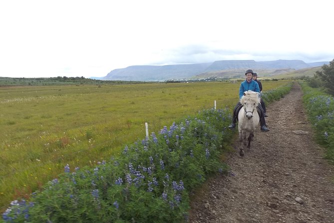 1+ hour Private Horse riding tour from Reykjavík/Mosfellsbær - What the 2-hour plan actually feels like on the ground