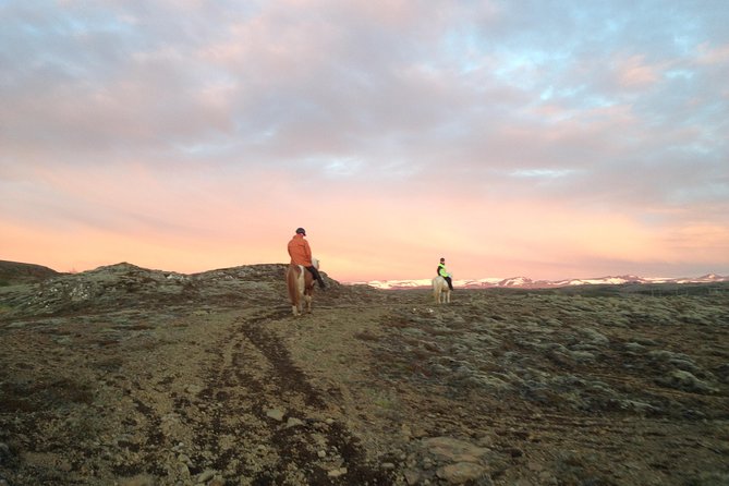 1+ hour Private Horse riding tour from Reykjavík/Mosfellsbær - Riding in Icelandic style: tolt, trot, and control you can feel