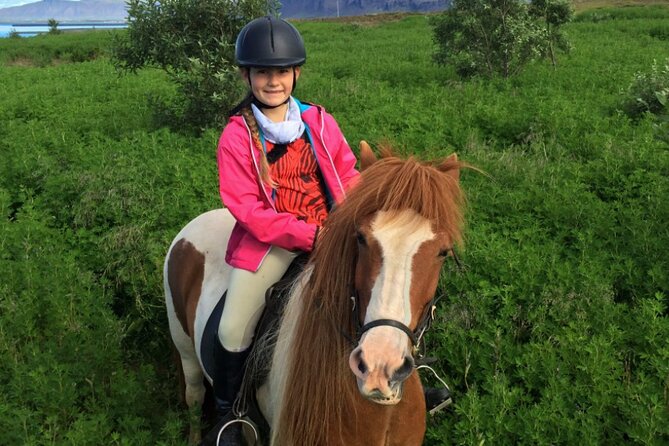 1+ hour Private Horse riding tour from Reykjavík/Mosfellsbær - Views and terrain near Mosfellsbær, with room for photo stops