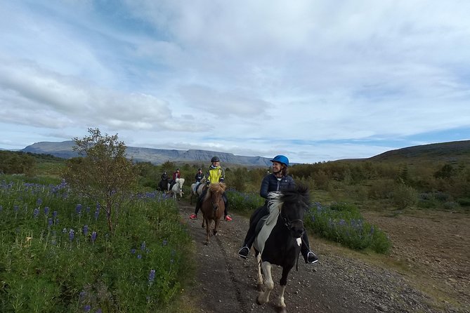 1+ hour Private Horse riding tour from Reykjavík/Mosfellsbær - Stable time: grooming, gear basics, and instant confidence