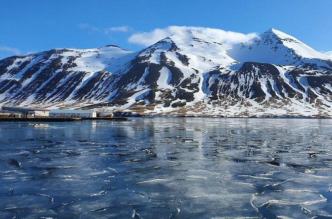 1-Hour Siglufjörður Stroll - Price and Value: What $39.91 Gets You in a Small Town