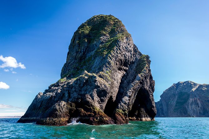 1-Hour Small Group Sightseeing Boat Tour in Vestmannaeyjar - The 1-hour itinerary: what you can expect in real time