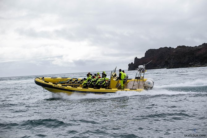 1-Hour Small Group Sightseeing Boat Tour in Vestmannaeyjar - Who should book this rib boat tour