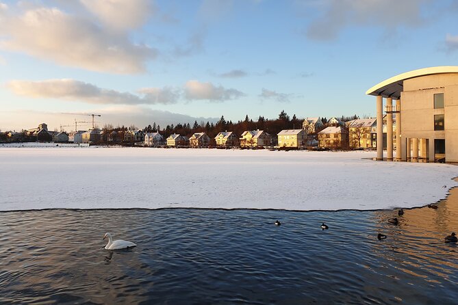 2-Hour Reykjavik Private Walking Tour - The famous Bill Clinton hot dog stop (yes, really)