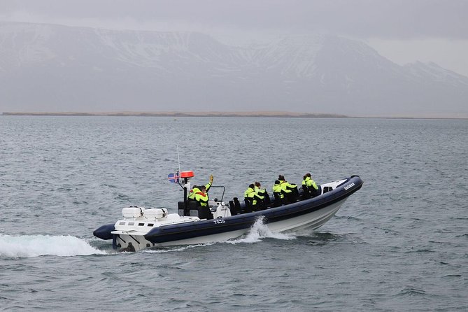 2-Hour RIB Boat Whale Watching Tour from Reykjavik - Key points worth knowing before you go