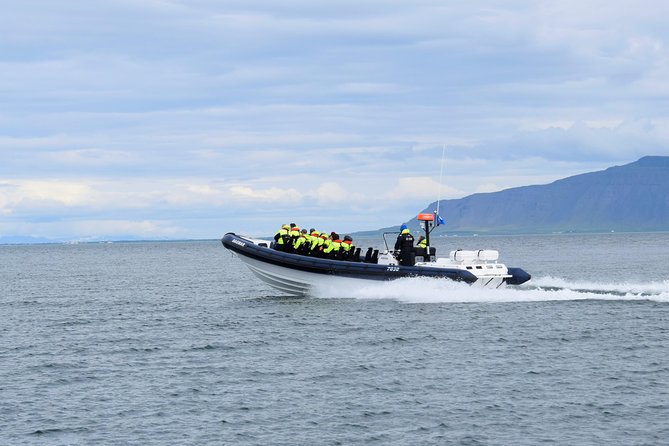 2-Hour RIB Boat Whale Watching Tour from Reykjavik - Akurey puffins in summer: the bonus stop that changes the vibe