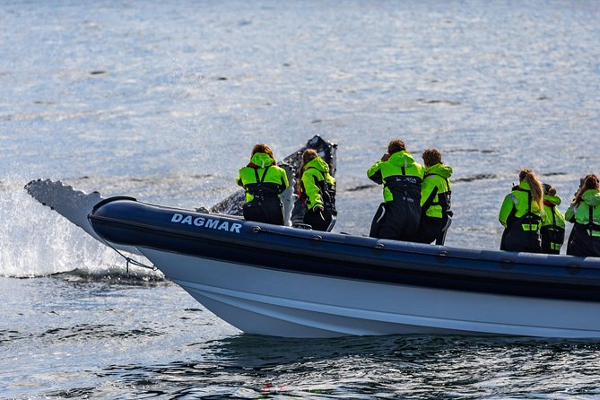 2-Hour RIB Boat Whale Watching Tour from Reykjavik - Comfort on open water: shock seats are helpful, not magic