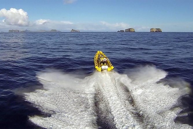 2 hour Round Trip in Vestmannaeyjar on a RIB Boat - Key things I’d bet on before you book