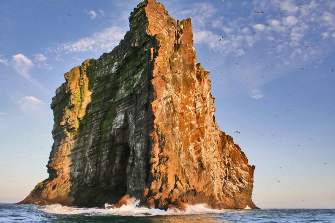 2 hour Round Trip in Vestmannaeyjar on a RIB Boat - Why a RIB boat fits Vestmannaeyjar better than anything slow