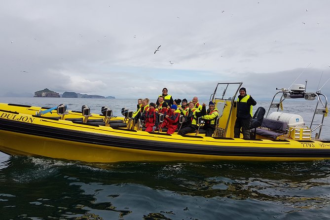 2 hour Round Trip in Vestmannaeyjar on a RIB Boat - Further out: reaching the magnificent gannet island (Súlnasker)
