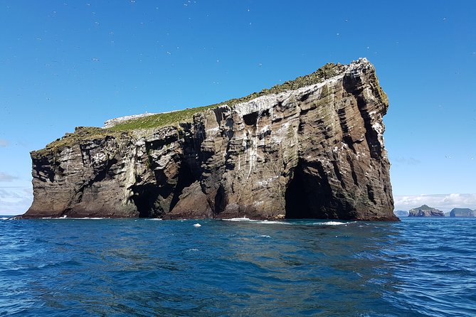 2 hour Round Trip in Vestmannaeyjar on a RIB Boat - Value for the price: what $247.39 really buys