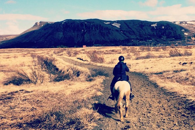 2 hours Private Horse Riding to Lake Hafravatn, Reykjavík - Mos - Key highlights to know before you ride