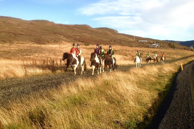 2 hours Private Horse Riding to Lake Hafravatn, Reykjavík - Mos - Price and value: what 210.26 per person buys you