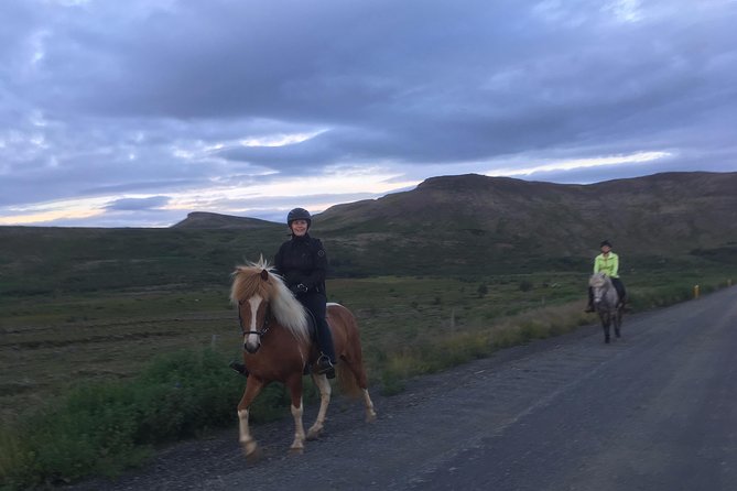 2 hours Private Horse Riding to Lake Hafravatn, Reykjavík - Mos - Horse care, safety rules, and the limits you must check