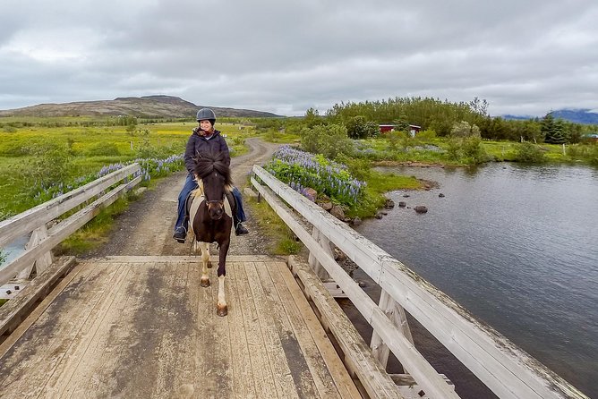 2 hours Private Horse Riding to Lake Hafravatn, Reykjavík - Mos - Who should book this private ride, and who might skip it