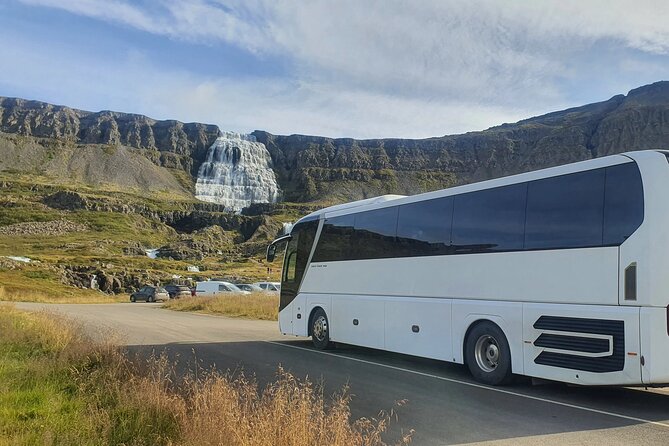 3,5-Hour Sightseeing Tour To Dynjandi Waterfall - Guides, drivers, and why the bus ride matters