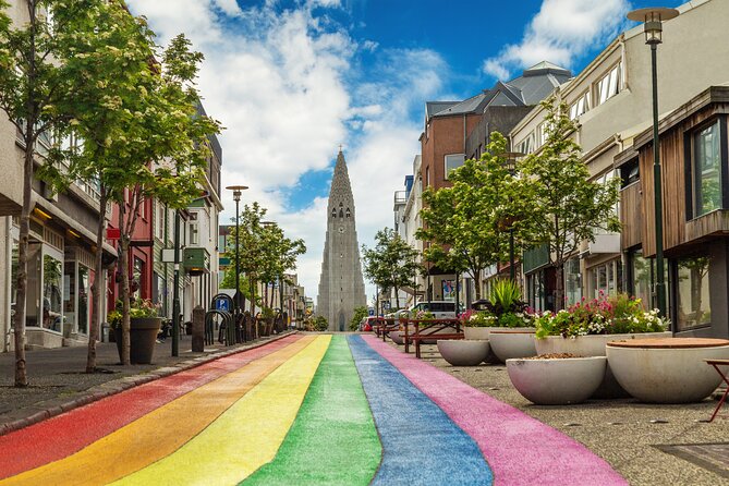 4-hour Private Reykjavik City Tour - Pickup and booking rhythm: pickup from your address, mobile ticket, lots of time slots