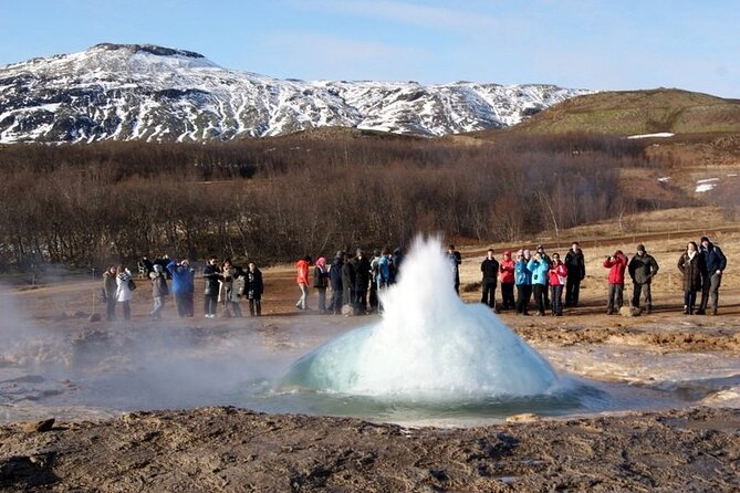 5-Days Land of Northern Lights Tour from Reykjavík - South Coast Power Day: Waterfalls, Museum Stops, Black Sand, and Optional Ice