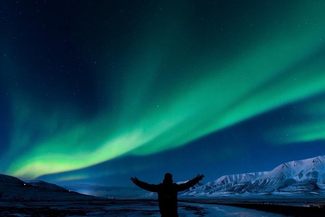 5-Days Land of Northern Lights Tour from Reykjavík - Golden Circle Day: Horses, Geothermal Drama, Gullfoss Spray, and Thingvellir