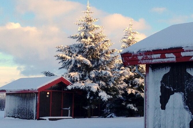 5-Days Land of Northern Lights Tour from Reykjavík - How the Tour Supports Your Aurora Chances