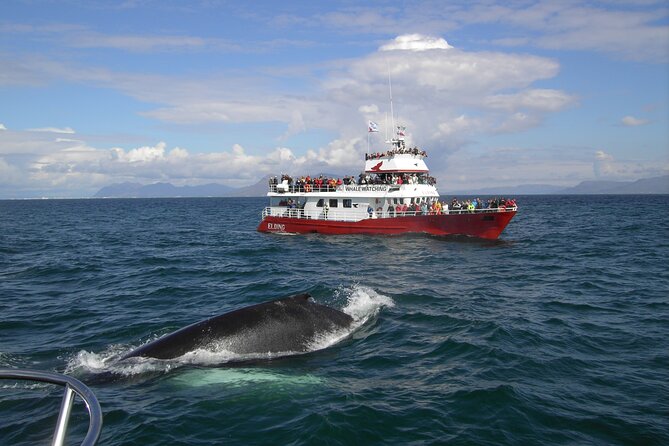 6 Day Iceland Ring Road Highlights Tour With Accommodation - Is the small-group Ring Road highlights loop good value?