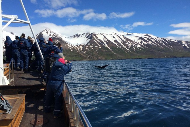 7-Day Complete Iceland: South Coast, Golden Circle, Akureyri & Snaefellsnes - Day 2: Vatnajökull outlet glacier hike, Jökulsárlón icebergs, and Diamond Beach