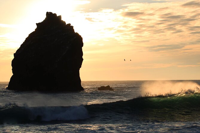 9 Days Self-Drive Tour with Pick Up - Ring Road Tour - 4x4 Campervan - Day 6 North Iceland: Dettifoss power, Ásbyrgi canyon, and Húsavík whales