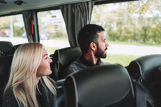Airport Transfer in Iceland from Keflavik Airport to Reykjavik City one way - How a pre-booked seat saves you in Keflavik