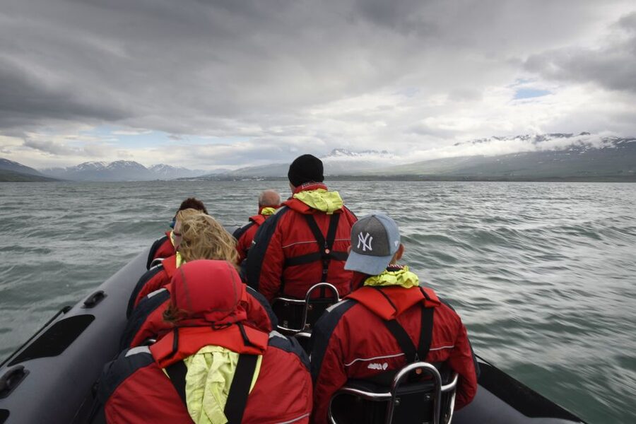 Akureyri: 2-Hour Whale Watching Express by RIB Speedboat - Best For: The Kind of Traveler Who Will Love This Express