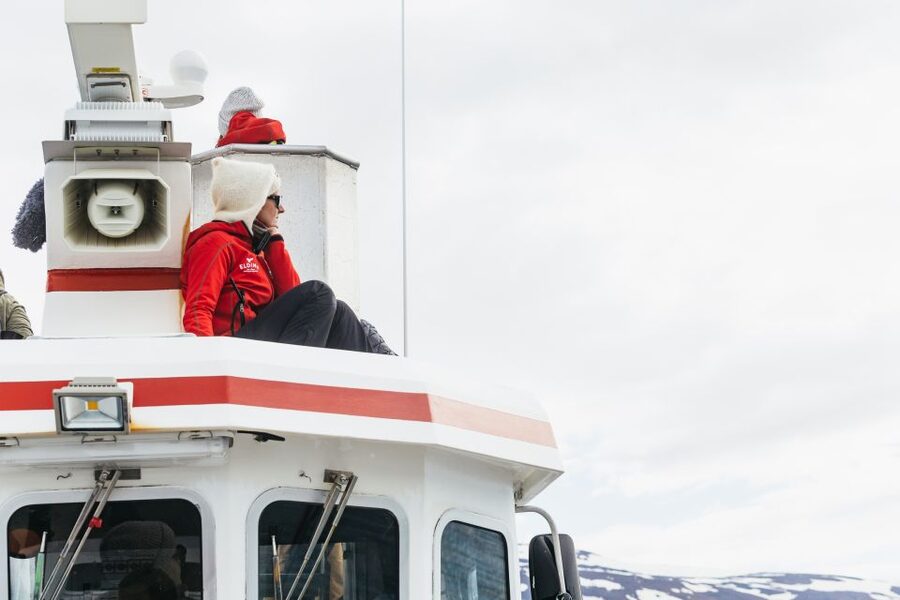 Akureyri: 3-Hour Classic Whale Watching Tour by Ship - Should you book this 3-hour classic whale watching tour?