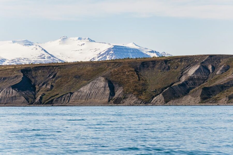 Akureyri: 3-Hour Classic Whale Watching Tour by Ship - Onboard Wi-Fi, crew photos, and snack decisions
