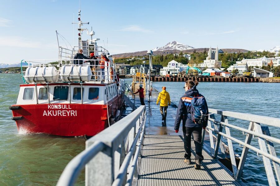 Akureyri: 3-Hour Classic Whale Watching Tour by Ship - Timing and seasonality in Akureyri, when whale odds improve