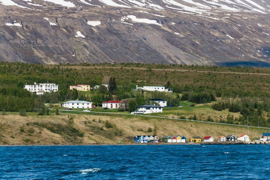 Akureyri: 3-Hour Classic Whale Watching Tour by Ship - Price and value, is $108 fair for 3 hours on the water?
