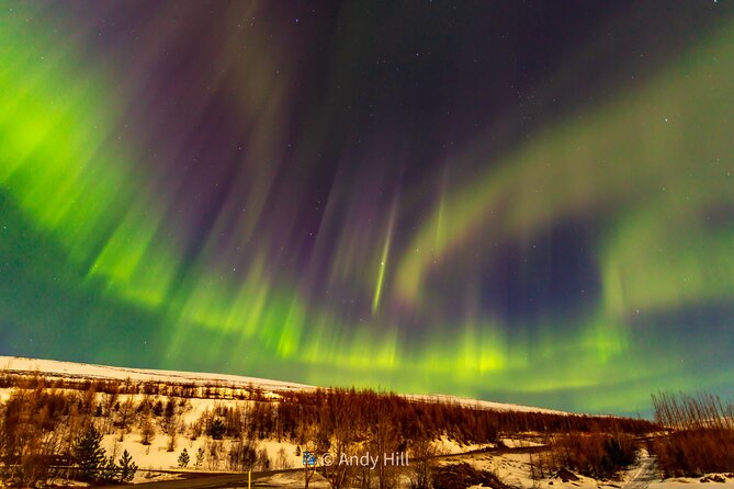 Akureyri Northern Light Tour - Akureyri Northern Lights at 9:30 pm, Built for Real Viewing