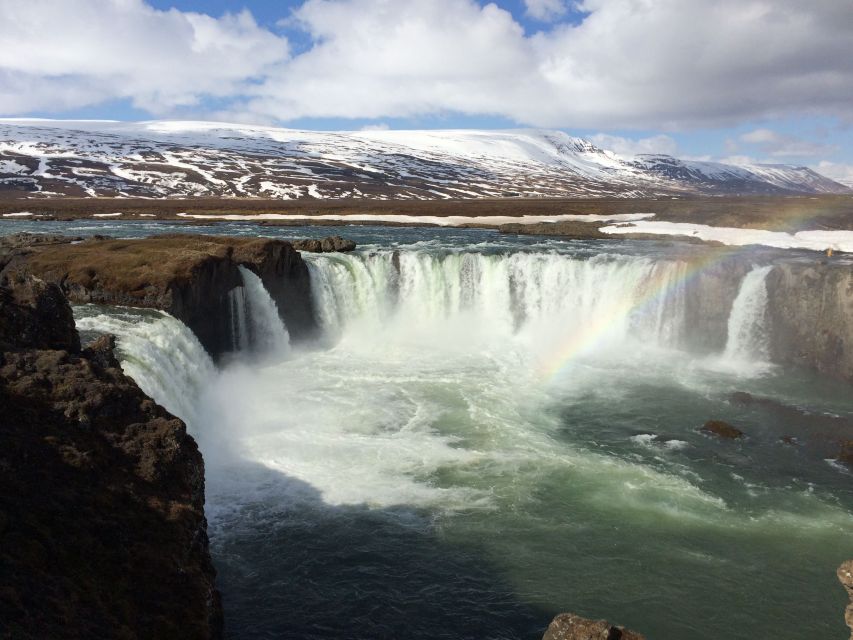Akureyri Port: Lake Mývatn & Goðafoss Waterfall Day Trip - Price and value: is $179 worth a cruise-day cram session?