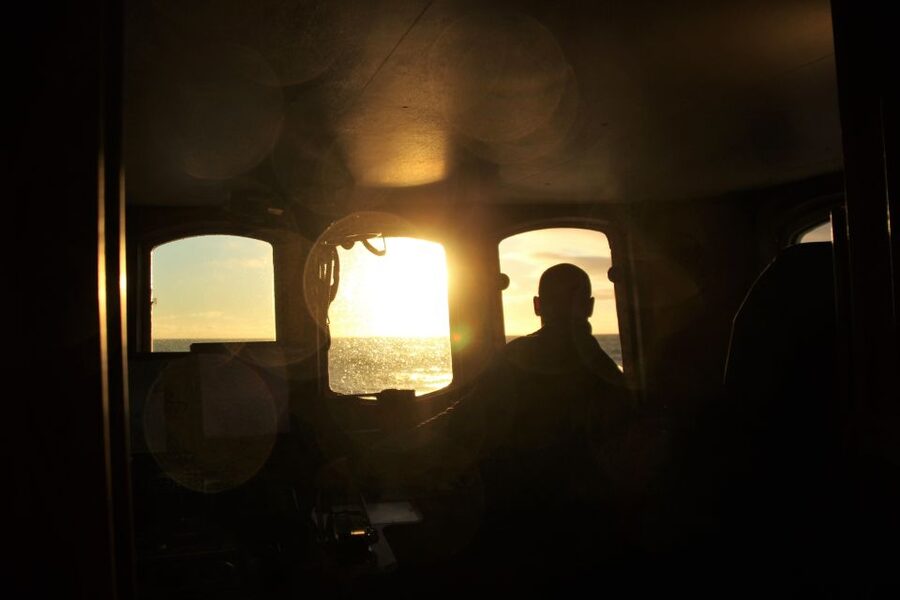 Akureyri: Whale Watching in the Midnight Sun - Key Reasons This Midnight Sun Whale Watch Works