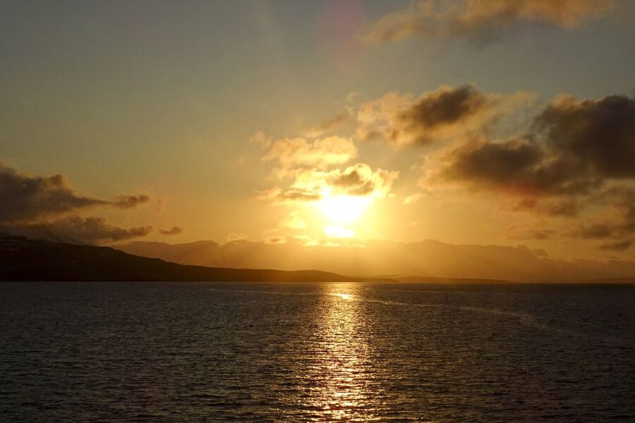 Akureyri: Whale Watching in the Midnight Sun - Price and Value: What $101 Buys You Here