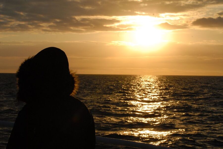 Akureyri: Whale Watching in the Midnight Sun - Midnight Sun Tips: Watching Humpbacks With the Light on Your Side