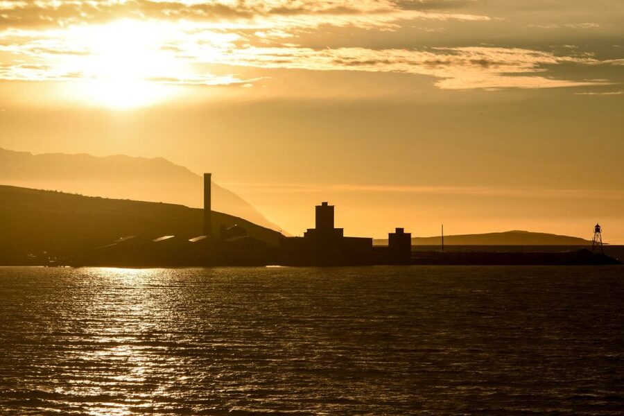 Akureyri: Whale Watching in the Midnight Sun - Online Whale Diary Updates: A Small Tool With Real Value