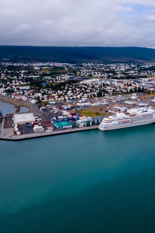Akureyri: Whale Watching Shore Excursions - Price and Value: Is $100 a Fair Deal for This Experience?