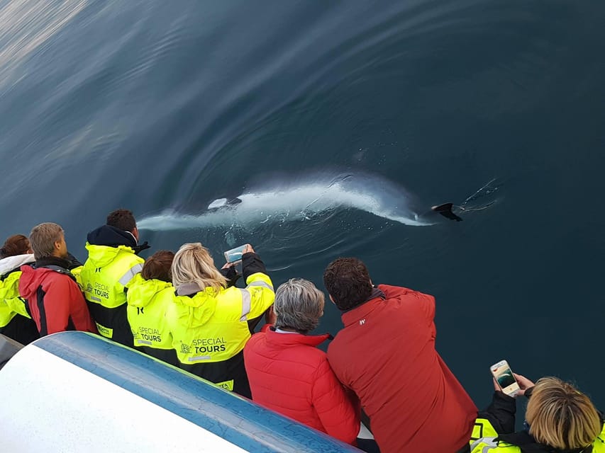 Akureyri: Whale Watching Tour & Forest Lagoon Entrance - Akureyri Whale Watching and Forest Lagoon, How the Day Fits Together
