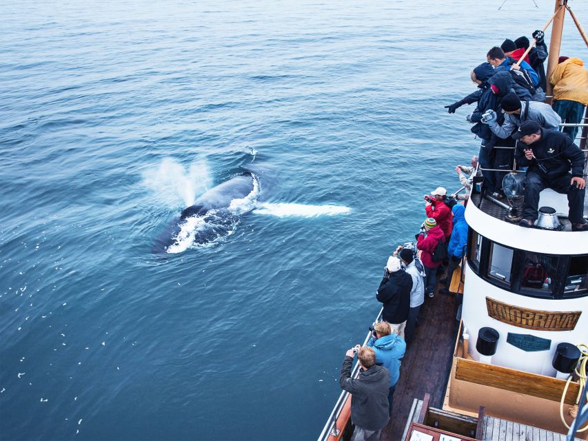 Árskógssandur: Whale-Watching Boat Trip - Where the Whale Watching Fits in Your Akureyri Day