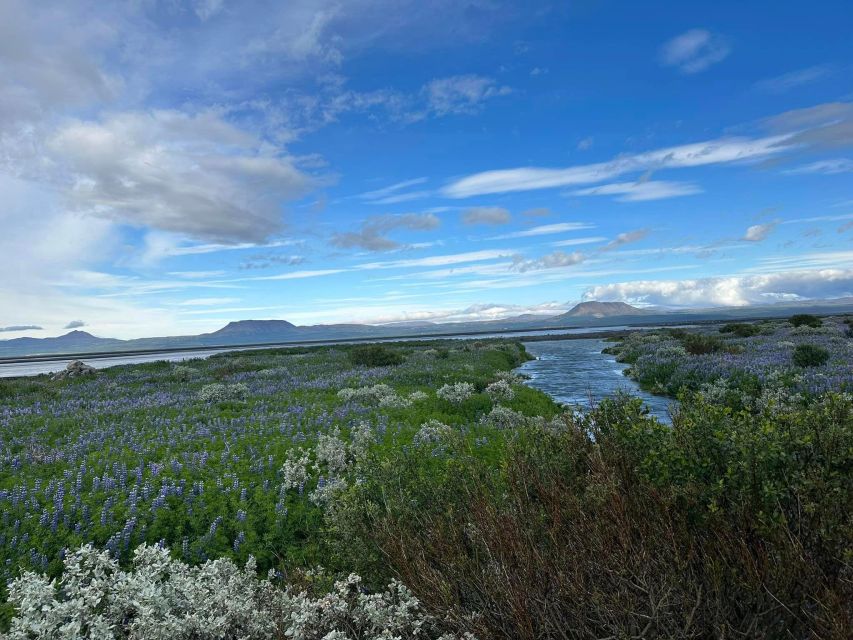 ATV guided trip close to dettifoss iceland - Price, Value, and the Real Meaning of the Solo-Drive Option