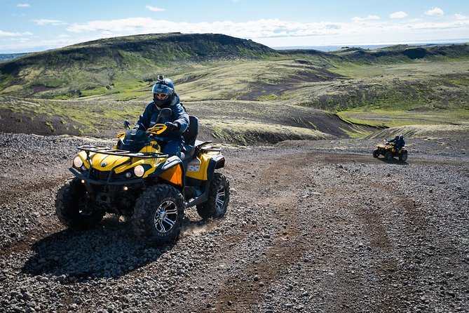ATV & Whale Watching Full day adventure in Reykjavik - Whale Watching in Faxafloi Bay: Guided Wildlife Time, Not a Sure Thing