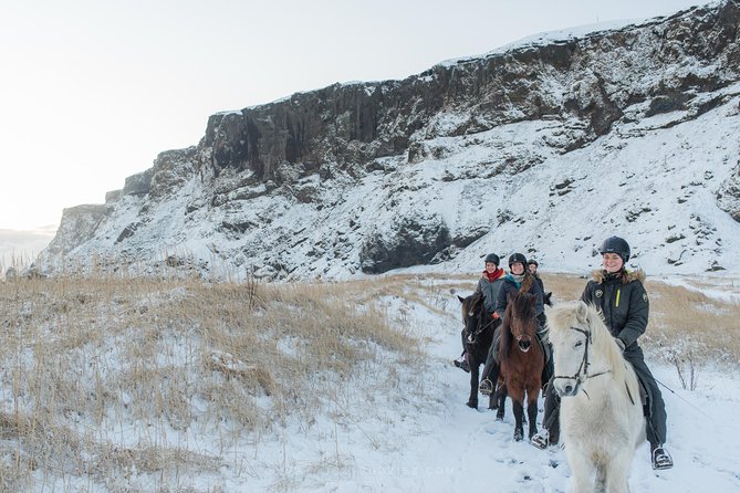 Black Sand Beach Horse Riding Tour from Vik - The Horses Up Close: Calm, Fluffy, and Honestly Fun