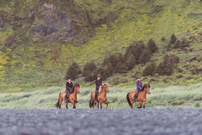 Black Sand Beach Horse Riding Tour from Vik - Practical Tips: What to Bring and How to Stay Comfortable
